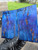 Blue stabilized XW amur ash scales  8.21.26 Amur B