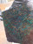 space cake burl scales  8.21.26 .002