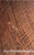 bastogne curly walnut 1pc super curl
