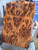 Redwood burl stabilized scales  9.01.26.002