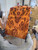 Redwood burl stabilized scales  9.01.26.002