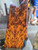 Redwood burl stabilized scales  9.01.26.004