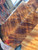 Curly koa stabilized scales 9.01.26.K4