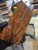 XL bastogne walnut stabilized scales 9.01.26.W1