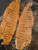 live edge Quilted maple bookmatch  top 9.5.26.002