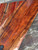 Curly KOA  backs and sides 9.05.26.001