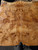 XL Mappa (european black poplar) burl  bookmatch  9.08.26.001