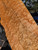 birdseye maple neck blank B 10.01.26  double size