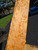 birdseye maple neck blank E 10.01.26  36 long