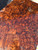 Black walnut burl 1pc 10.1.26 .001