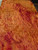 red Camphor burl 1pc Oversize 10.01.26.002