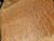 oversized Quilted maple bookmatch  top AS4 10.5.26