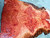 eucalyptus burl bookmatch 11.24.2018.001