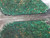 green MAPLE BURL dyed and stabilized casted bookmatch 2019.2.03.001