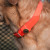 21" Water Dog Collar 21" Water Dog Collar