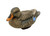 HydroFoam Flocked Mallards 6 Pack