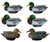 HydroFoam Mallards 6 Pack