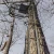 30 Ft. Safety Line