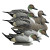 Battleship Pintail Battleship Pintail