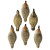 Standard Green Wing Teal 6PK Standard Green Wing Teal 6PK