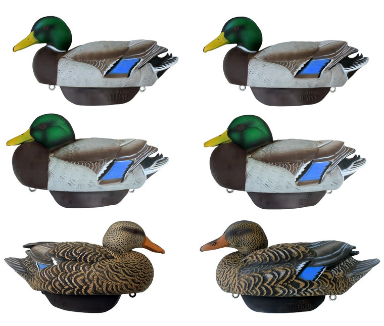 HydroFoam Mallards 6 Pack