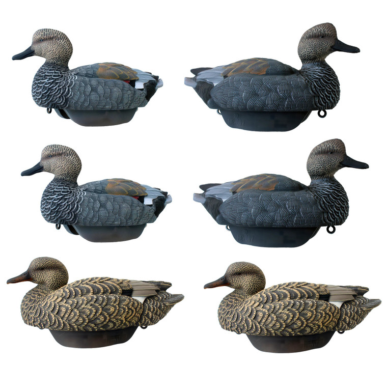 HydroFoam Gadwalls 6 Pack