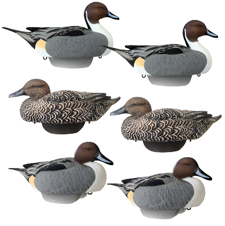 HydroFoam Pintails 6 Pack