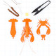 Lobster Kit - Carrot