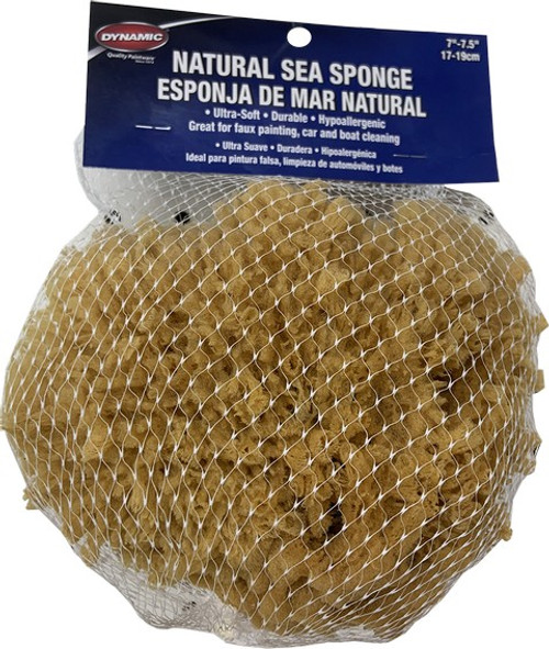 Dynamic 00008 7"-7.5" (17-19cm) Natural Sea Sponge