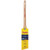Purdy 144080115 1-1/2" Nylon/Polyester Stiff Clearcut Dale Angular Trim Paint Brush - 6ct. Case