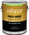 Valspar 66000.007 1gal Satin Finish Super One Coat White Pro-Hide Gold Ultra Exterior Paint