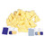 FoamPro 41 Color Match Applicator Draw Down Brush