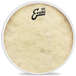 Evans TT13C7 13 Inch Calftone
