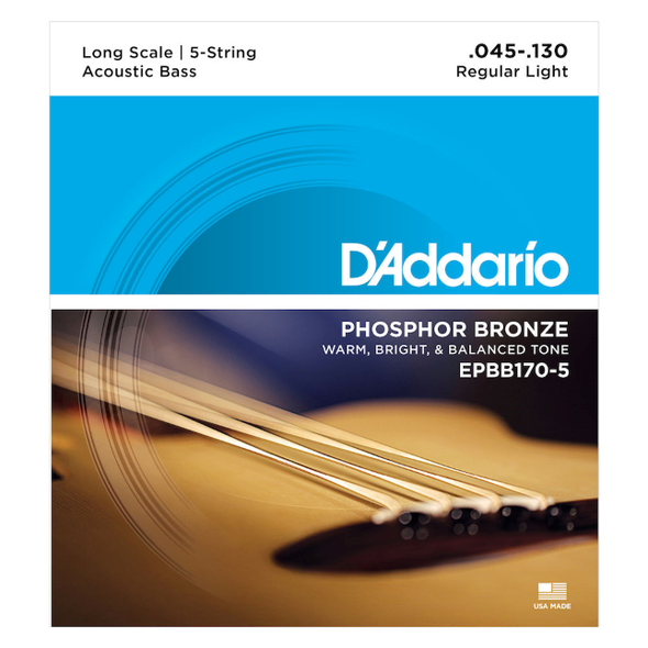 D'Addario EPBB170-5 5-String Acoustic Bass Set