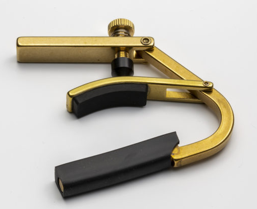 Shubb Drop D Capo C8b