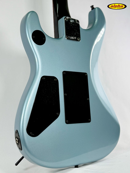 Fender Tom Morello's "Arm The Homeless" Guitar