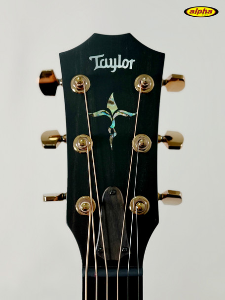 Taylor Next Generation K24ce Special Edition, Edgeburst, w/case