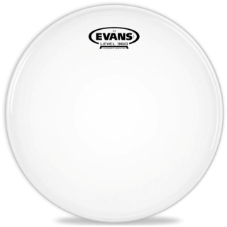 Evans B10G2 10" Coated G2