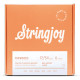Stringjoy Foxwoods | Light Gauge (12-54) Coated Phosphor Bronze Acoustic Guitar Strings