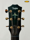 Taylor Next Generation K24ce Special Edition, Edgeburst, w/case