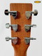 Martin DX2E Brazilian Burst Special w/bag