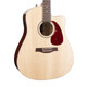 Seagull Coastline SLIM CW Spruce w/bag