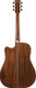 Ibanez AW391CE BKH Black Tree of Life
