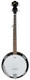 Ibanez B50 Banjo