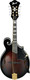 Ibanez M522S-DVS F-Style Mandolin