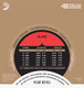 D'Addario EJ45 Pro-Arte Nylon Normal Tension Classical Guitar Strings