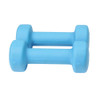 2kg Neoprene Dumbbells - Blue (Pair)