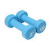 2kg Neoprene Dumbbells - Blue (Pair)