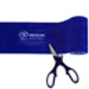 15m Roll Resistance Band - Medium