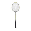 Talbot-Torro Arrowspeed 199 Badminton Racket